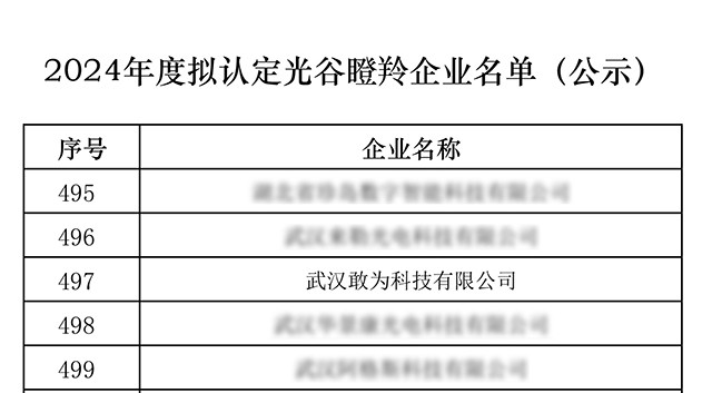 光谷瞪羚.jpg 光谷瞪羚.jpg