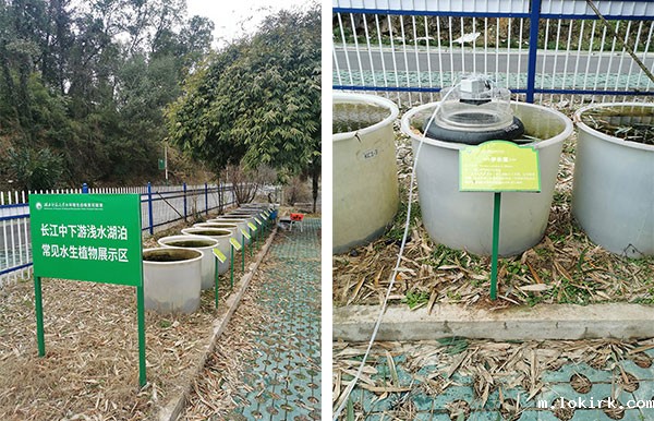 青山湖湖泊生态系统野外观测研究站项目现场-2.jpg 青山湖湖泊生态系统野外观测研究站项目现场-2.jpg